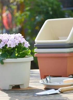 特价加厚树脂朱顶红风信子郁金香球根花盆矮牵牛草花绿萝盆