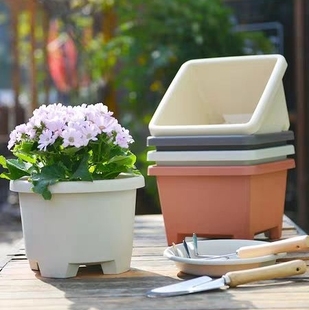 特价加厚树脂朱顶红风信子郁金香球根花盆矮牵牛草花绿萝盆