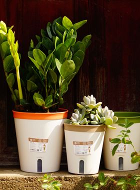 桌面吸水花盆懒人树脂盆蓄水花盆多肉绿萝盆