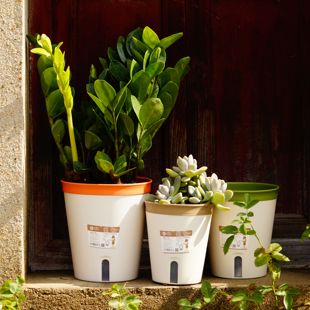 桌面吸水花盆懒人树脂盆蓄水花盆多肉绿萝盆