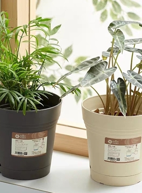 简约蓄水树脂花盆盆托一体自吸水盆