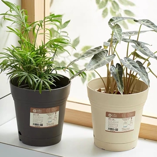 简约蓄水树脂花盆盆托一体自吸水盆