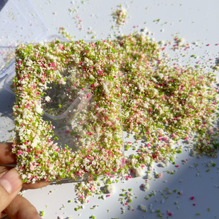 粉绿色混合花草粉树粉diy微观造景装 饰艺术手帐尼泊尔手工本花粉