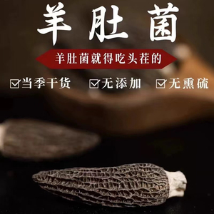 云南香格里拉高原产头茬厚肉羊肚菌干货野生500g羊肚茵牛肚菌特级