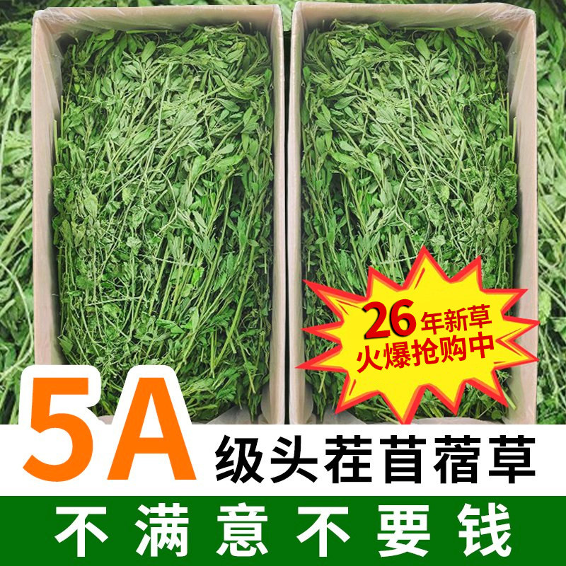 苜蓿草兔子粮草紫花干草幼兔食用豚鼠吃的粮食苜宿草专用兔粮饲料