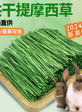 烘干提摩西草 2025新牧草兔粮龙猫草荷兰猪饲料豚鼠干草500g包邮