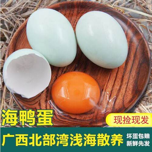 北海散养大个海鸭蛋现捡现发