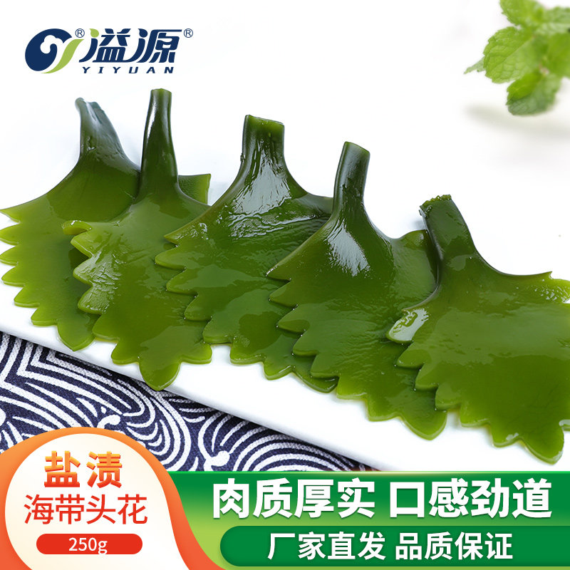 溢源盐渍海带头花特厚250g非干货非特级火锅煲汤霞浦海带头多肉
