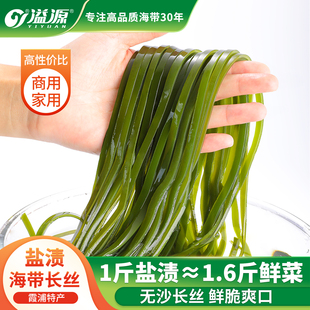 溢源新鲜盐渍海带丝整箱批发商用家用非特级非干货厚凉拌海带长丝