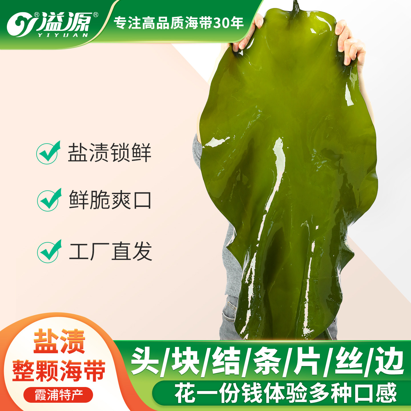 溢源盐渍海带鲜脆爽口图片