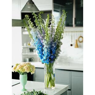 大飞燕草花鲜花云南直发  大飞燕鲜花 家用水养鲜花顺丰空运包邮