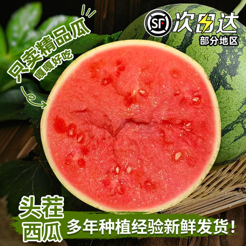 【回购300+】薄皮麒麟瓜无籽瓜~
