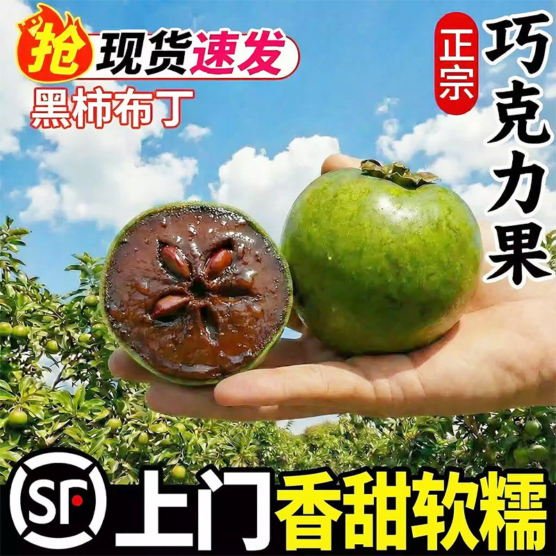正宗巧克力脆柿子新鲜水果黑柿布丁果硬柿子现摘版纳巧克力果顺丰,水产肉类/新鲜蔬果/熟食,柿子,淘宝优惠券,粉丝福利购,淘宝优惠卷