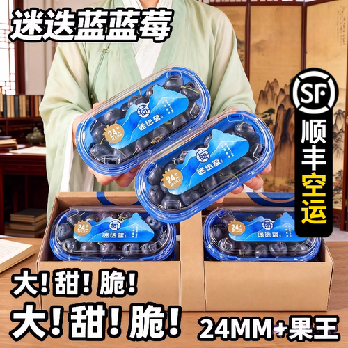 大蓝莓24+蓝莓鲜果南芒头茬精品