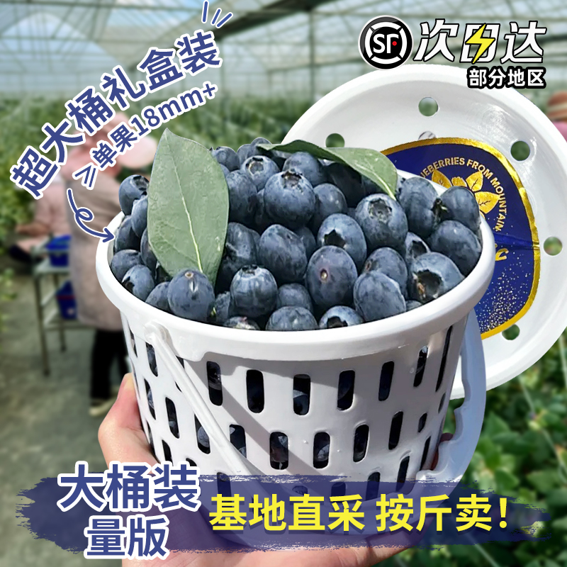 热销桶装L25云南花香蓝莓