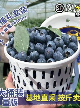 【整桶发】桶装花香蓝莓一斤装云南亮眼莓L25当季新鲜绿叶水果