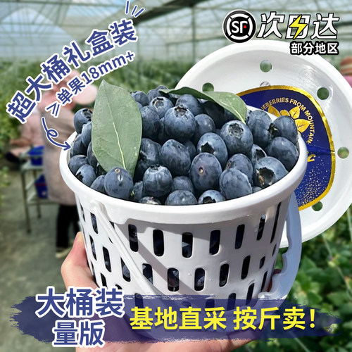 热销桶装L25云南花香蓝莓