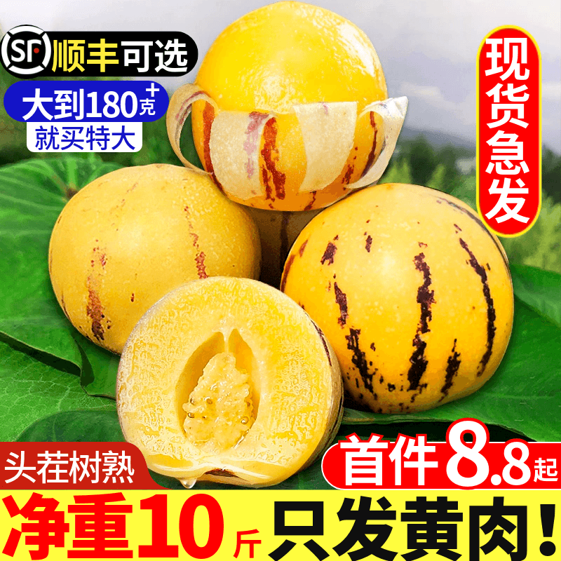 �����˲ι�ˮ��10������������ʯ��������������������Բ������