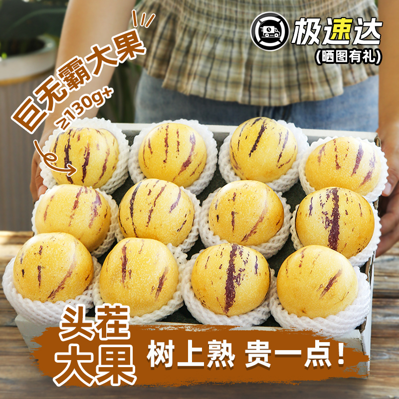 【高端特大】云南人参果水果石林人生叁果圆树上熟黄肉特大果