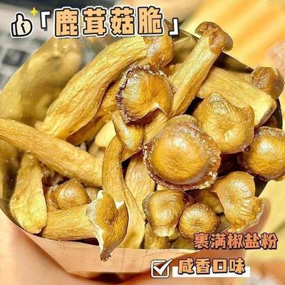 椒盐鹿茸菇香菇营养健康健身零食