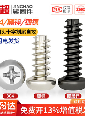 PT 镀镍/黑锌/304不锈钢圆头十字割尾自攻螺丝盘头平尾螺钉M2M3M4