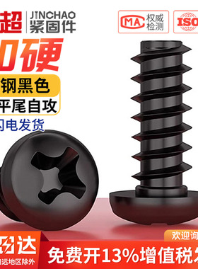 PB加硬铁碳钢黑色圆头十字平尾自攻螺丝盘头小螺钉M1M1.2M2M3M4mm