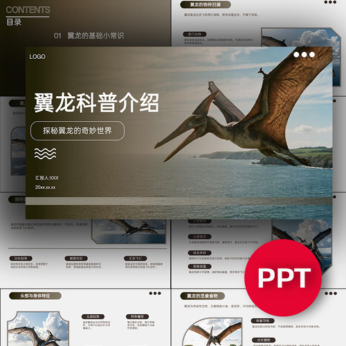 翼龙知识科普介绍ppt模板恐龙科普课件素材禹创PPT