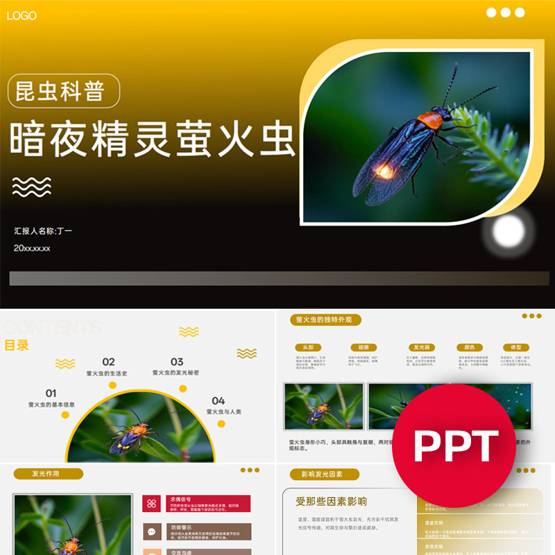 萤火虫科普知识介绍讲解ppt昆虫自然科普班会实践课堂ppt模板