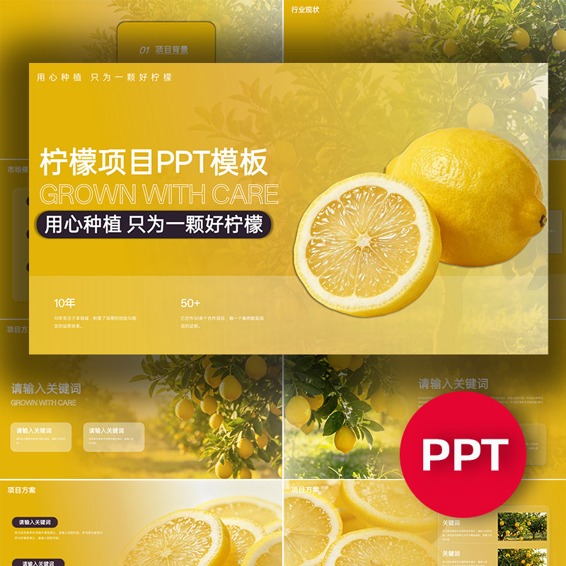 柠檬PPT柠檬项目公司企业介绍答辩路演ppt水果农业种植课件模板