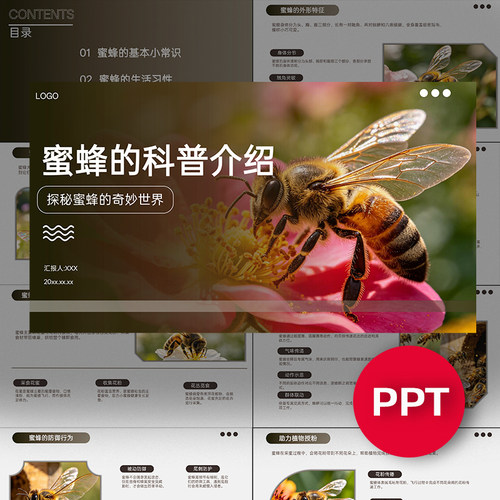 一份15页蜜蜂科普知识介绍讲解PPT昆虫自然科普蜜蜂ppt课件模板