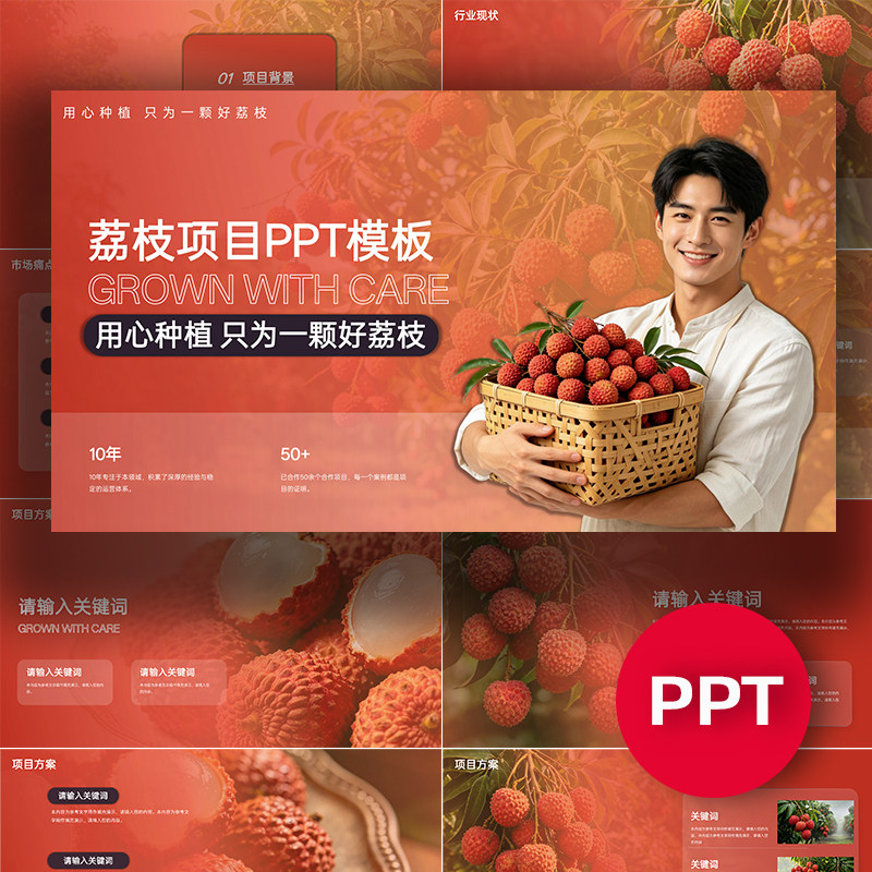 荔枝PPT荔枝项目公司企业介绍ppt模板农业种植汇报答辩路演课件