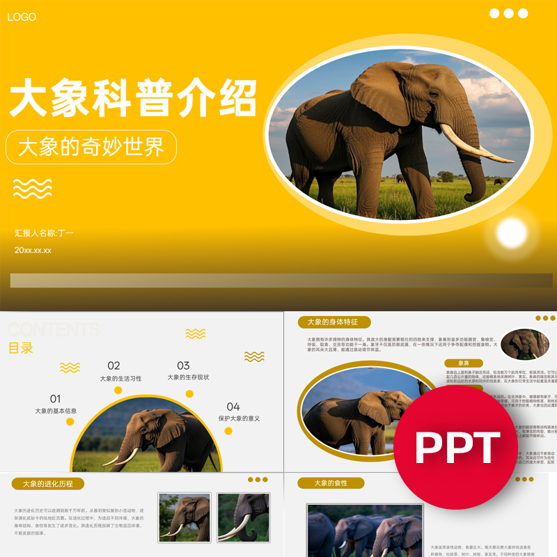 大象科普介绍ppt模板动物观察自然主题班会PPT课件模板