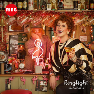 网红灯具ins流行爆款火烈鸟手工玻璃管家庭氛围装饰背景霓虹桌灯