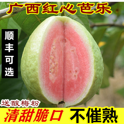 广西红心芭乐番石榴顺丰可选包邮