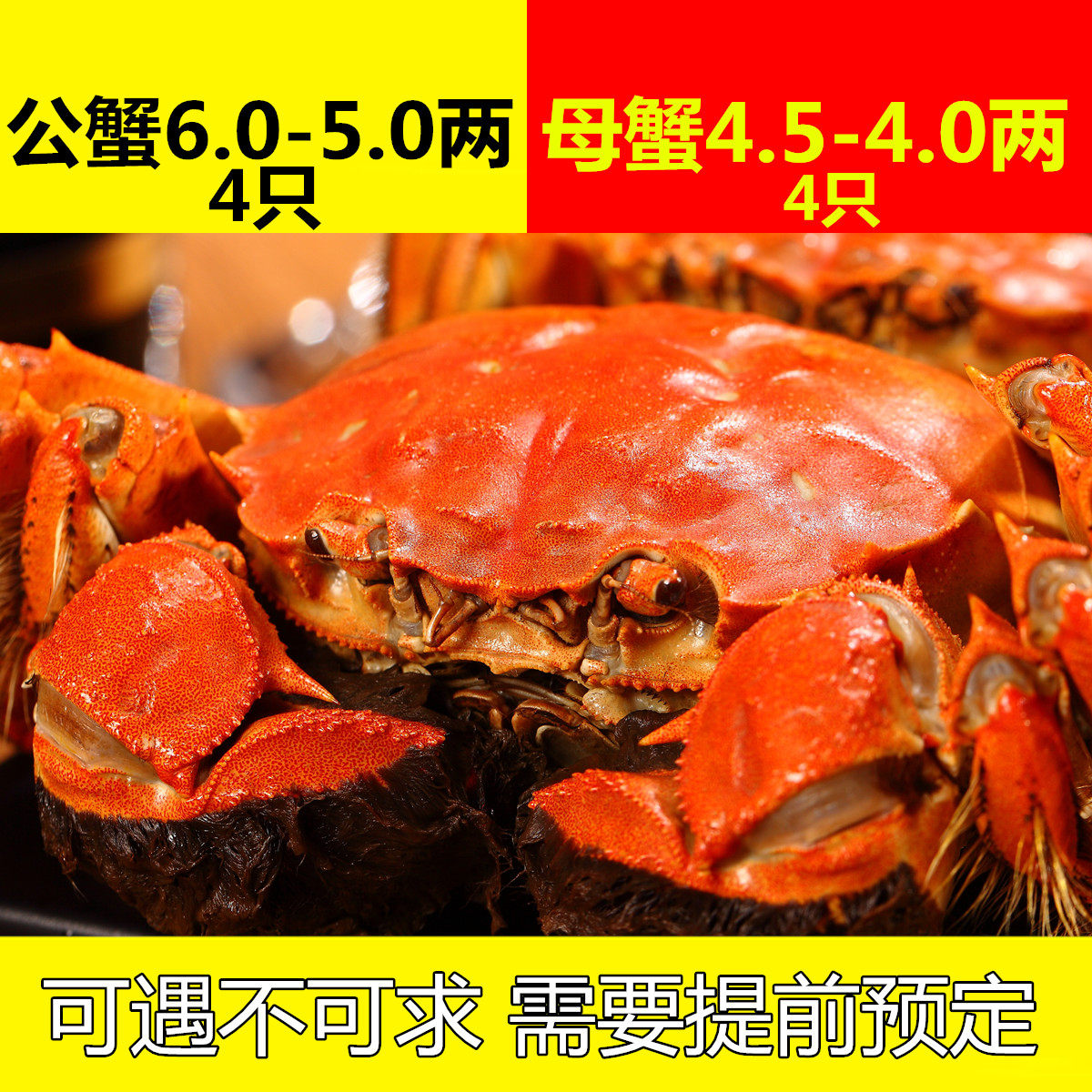 兴化红膏大闸蟹鲜活现货六月黄8只装特大螃蟹公6两母5两可全母|ruв категории водной мясо/свежие фрукты и овощи/еда, морепродукты/водные продукты/изделия, краб, краб - от Buy2taobao.com для оказания профессиональной услуги покупки агента Taobao