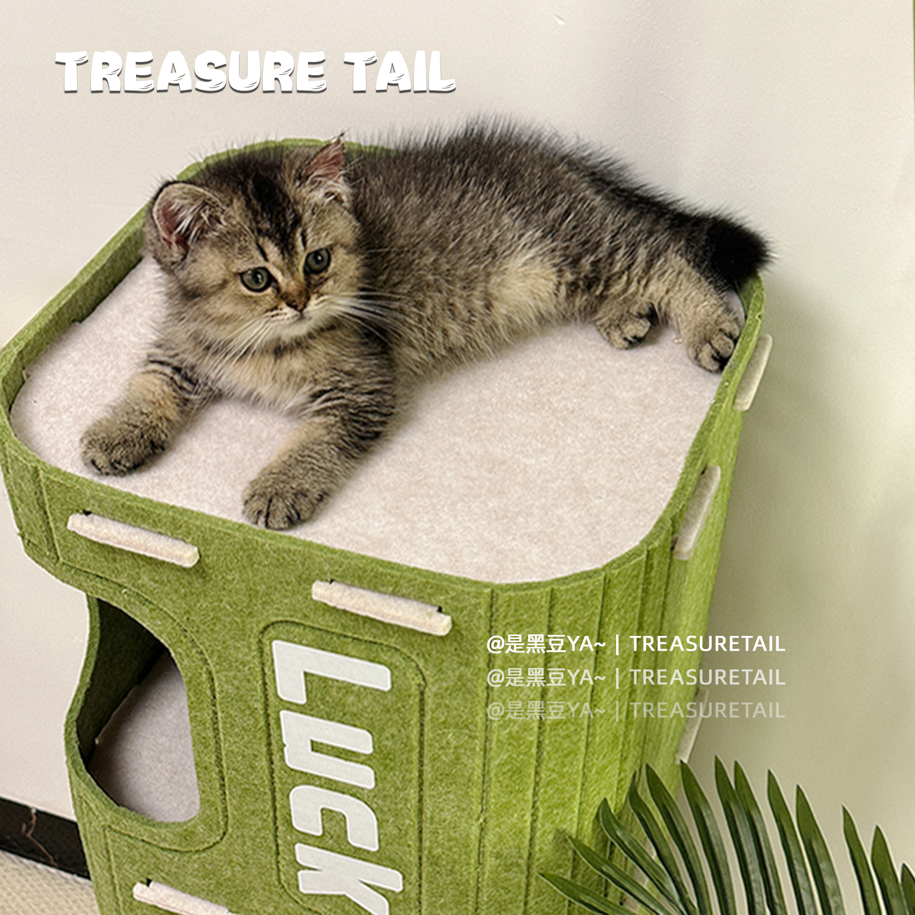 TreasureTail多层猫爬架
