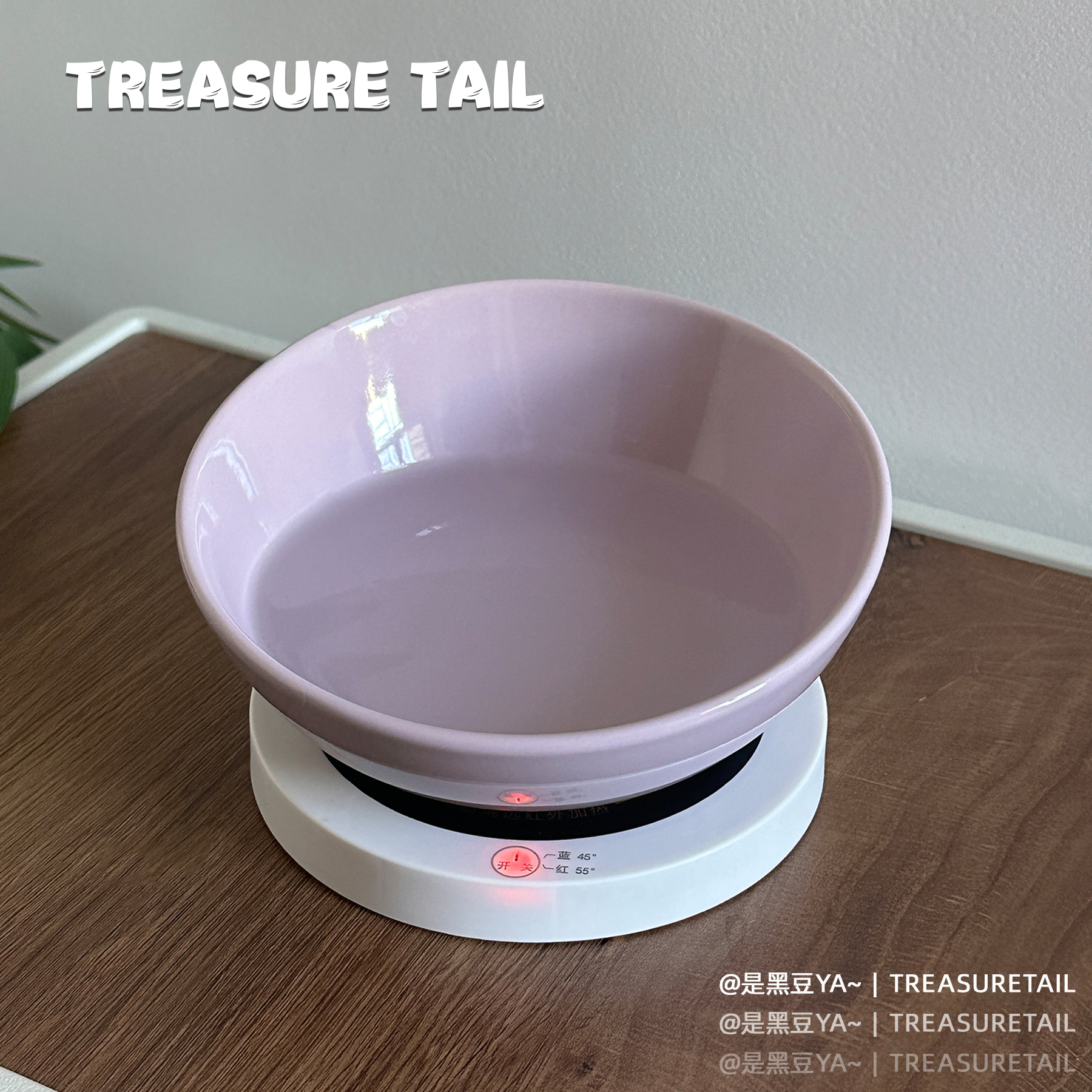TreasureTail恒温斜口陶瓷碗