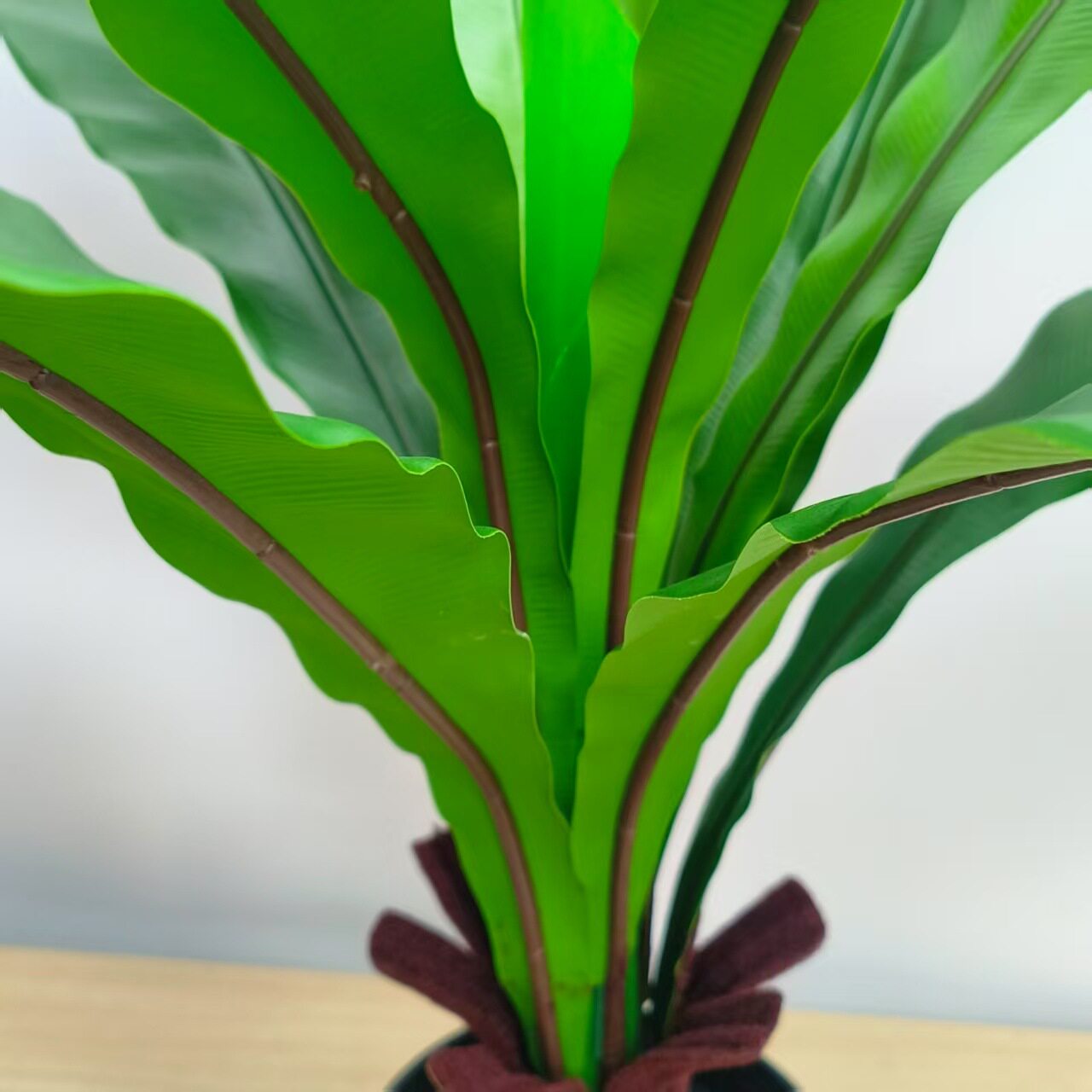 仿真蕨类植物鸟巢蕨绿植