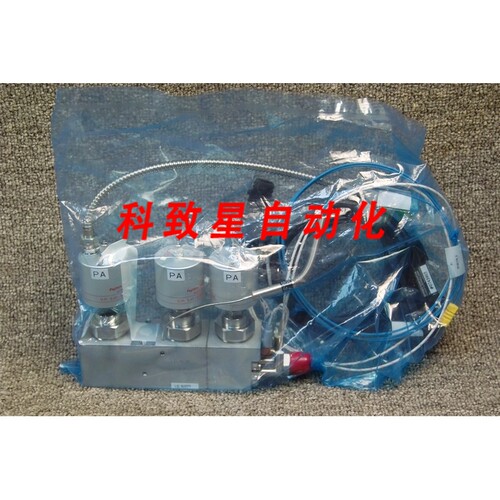 工业配件PA NCOP0.45 0.6MPA FS-V31P 316L 450411-1 VALVE