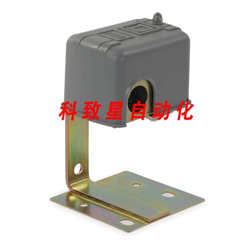工业配件9036FG30- SWITCH