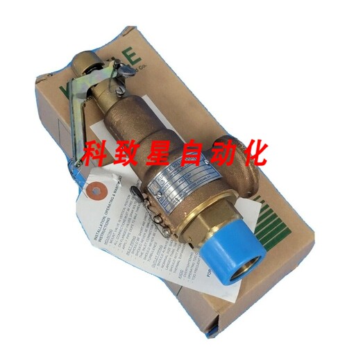 工业配件KUNKLE 6010EEM01-AM0040 DIMENSION:1英尺 蒸汽泄压阀