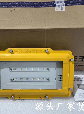 BFE8121消防应急照明灯具海洋王
