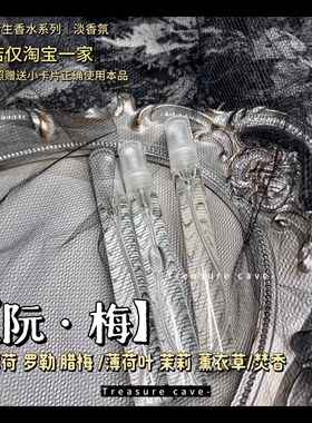 阮·梅 盐渍梅花·星穹铁道崩铁衍生同人小众私人香氛腊梅2.0微调