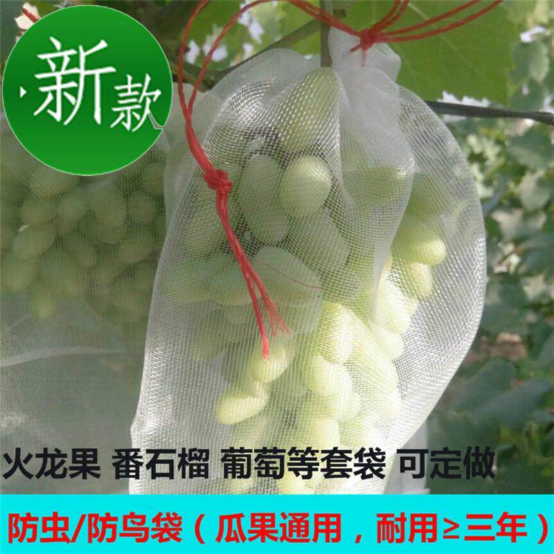 潮c款大号尼龙网套袋网兜保护袋蔬菜泡沫网透气水果网袋枇杷防虫在类目 鲜花速递/花卉仿真/绿植园艺, 园艺用品, 其它园艺用品中 - 来自Buy2taobao.com提供专业的淘宝代购服务