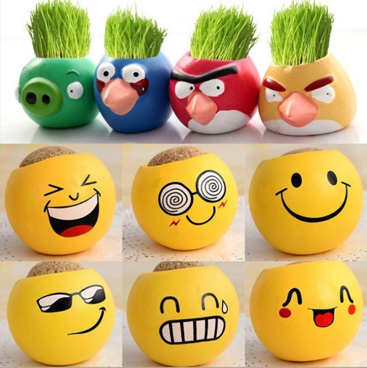 办公室迷你植物小盆栽创意青草种植表情草头娃娃生态瓶绿色盆栽