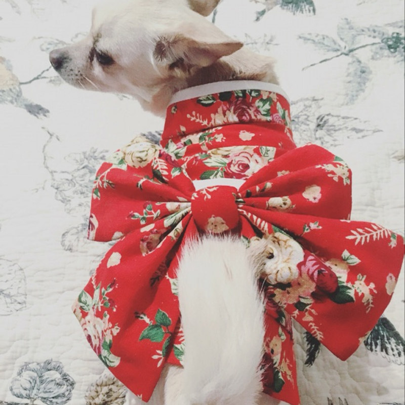 宠物衣服可爱日本和服泰迪法斗金毛大型犬狗狗猫新年过年喜庆衣服
