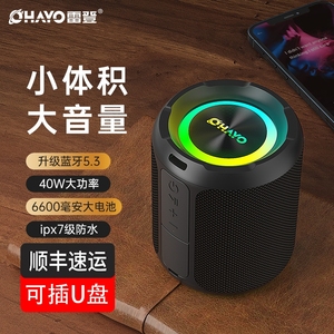 雷登X3 蓝牙音箱大音量超重低音响高音质炮家用便携式户外U盘小音