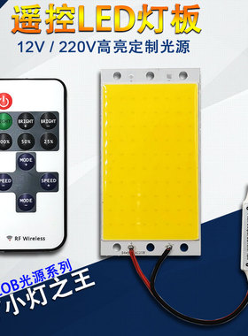 94x50MM高亮长方形遥控调光COB灯板LED面光源12V 15W冷暖白蓝红绿