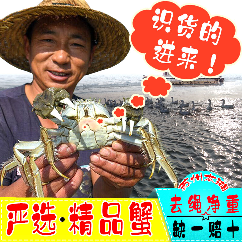 精品红膏特大公母太湖蟹10只礼盒