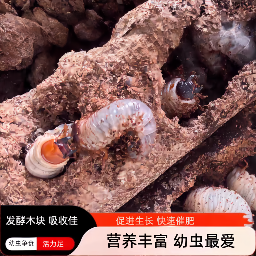 甲虫幼虫催肥发酵木块 独角仙/锹甲/金龟兜虫争吃饲料 营养强,宠物/宠物食品及用品,爬虫/鸣虫食物,淘宝优惠券,粉丝福利购,淘宝优惠卷
